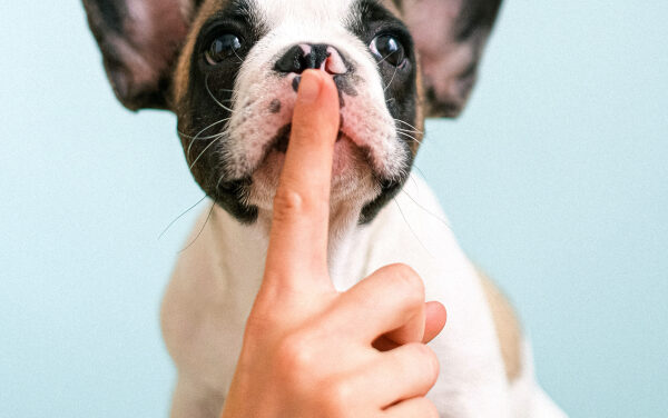 Give Your “A” Chord the Finger