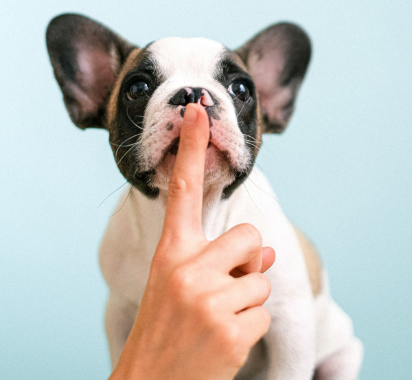 Give Your “A” Chord the Finger